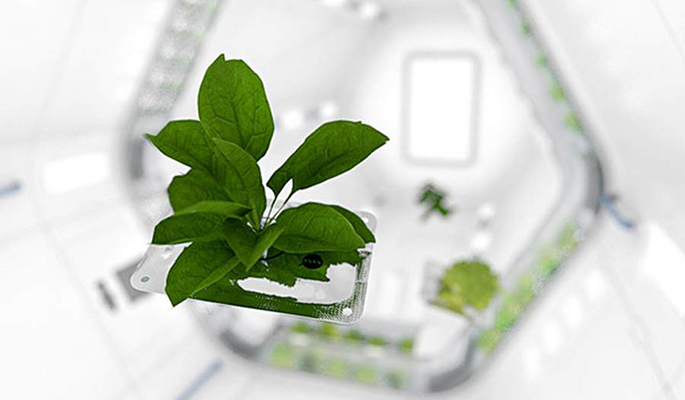 Space-Plant-Plant-System-Would-Give-Astronauts-Fresh-Food-in-Space-iHidroUSA-blog-news-post-information-hydro-indoor-outdoor-grow-hydro-nasa-1-1